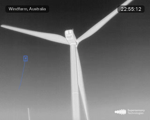 Bats tracked around a wind turbine — 1 Jul 2025